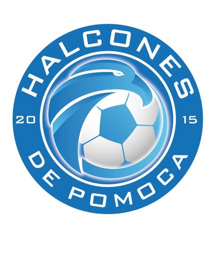 Escudo de Pomoca