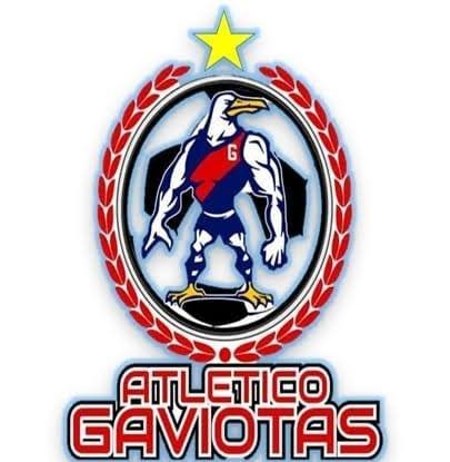 Escudo de Gaviotas